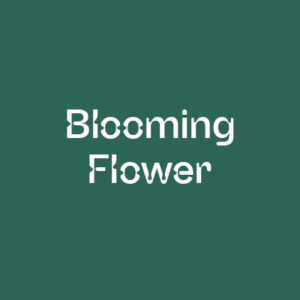Blooming Flower