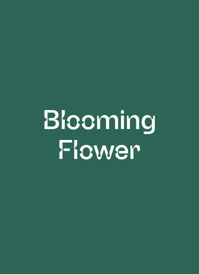 Blooming Flower