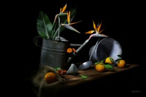 ciclo della vita opera di Giorgio Lupano per Noi Vivi Arte