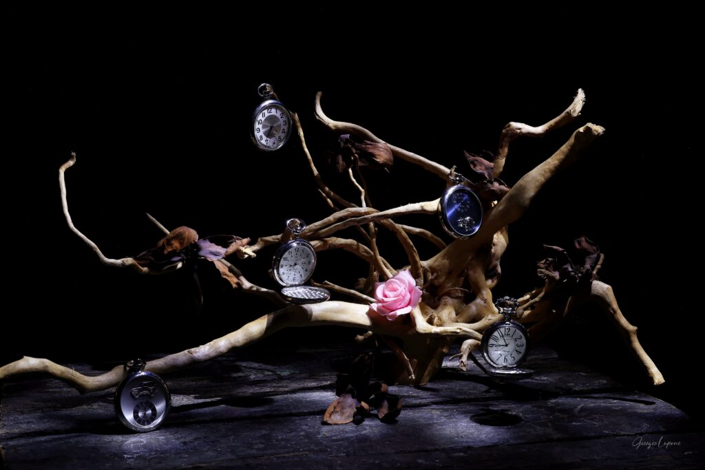 Le radici del tempo - opera di Giorgio Lupano per Noi Vivi Arte