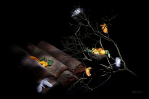 Natura miracolosa - opera di Giorgio Lupano per Noi Vivi Arte