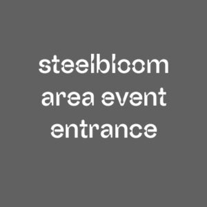 Ingresso per evento in area steelbloom